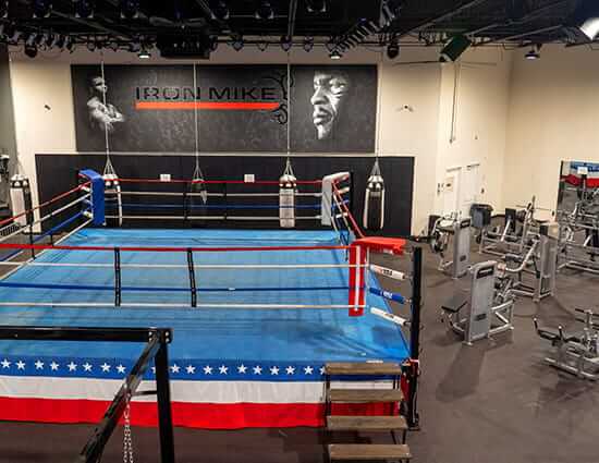 Boxing Ring and Training Area