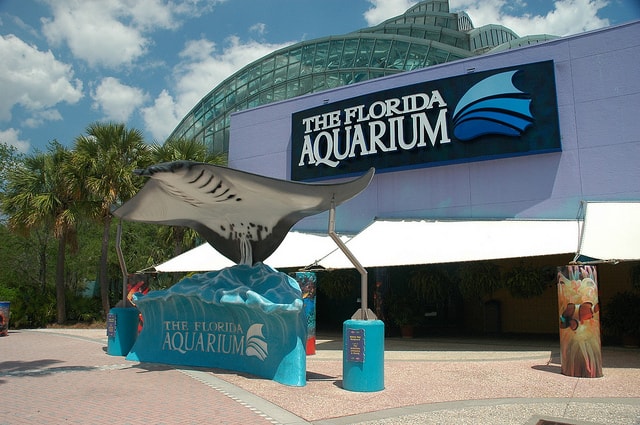 The Florida Aquarium