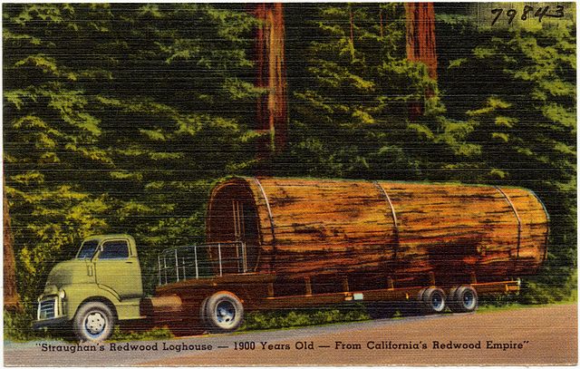 Redwood Log House