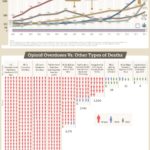 The Current Opioid Death Toll – White Sands Treatment – Infographic