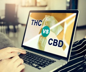 THC vs. CBD