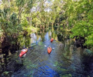 Life After Rehab: Best Places To Go Kayaking in Orlando