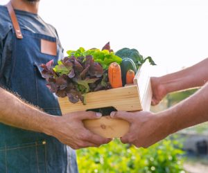 Life After Rehab: Farmers Markets in Tampa, FL | Healthy Eating & Addiction Treatment