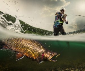 Life After Rehab: Best Fishing Trips in Orlando