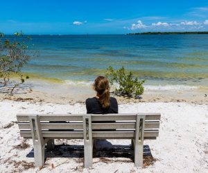 What Is Outpatient Drug Rehab Like in Tampa?