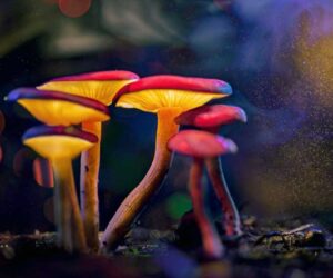 How Can I Stop Binge Drinking for Good?